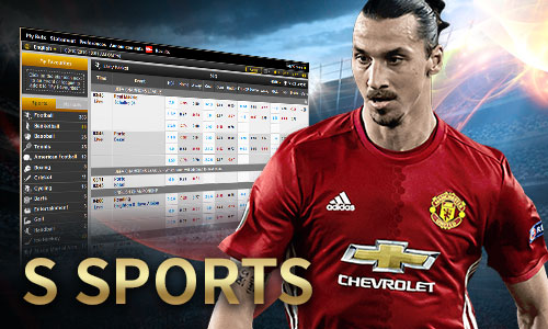 wildturkey_not_mobile_sw