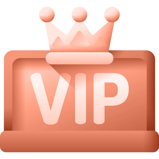 Bronze VIP
